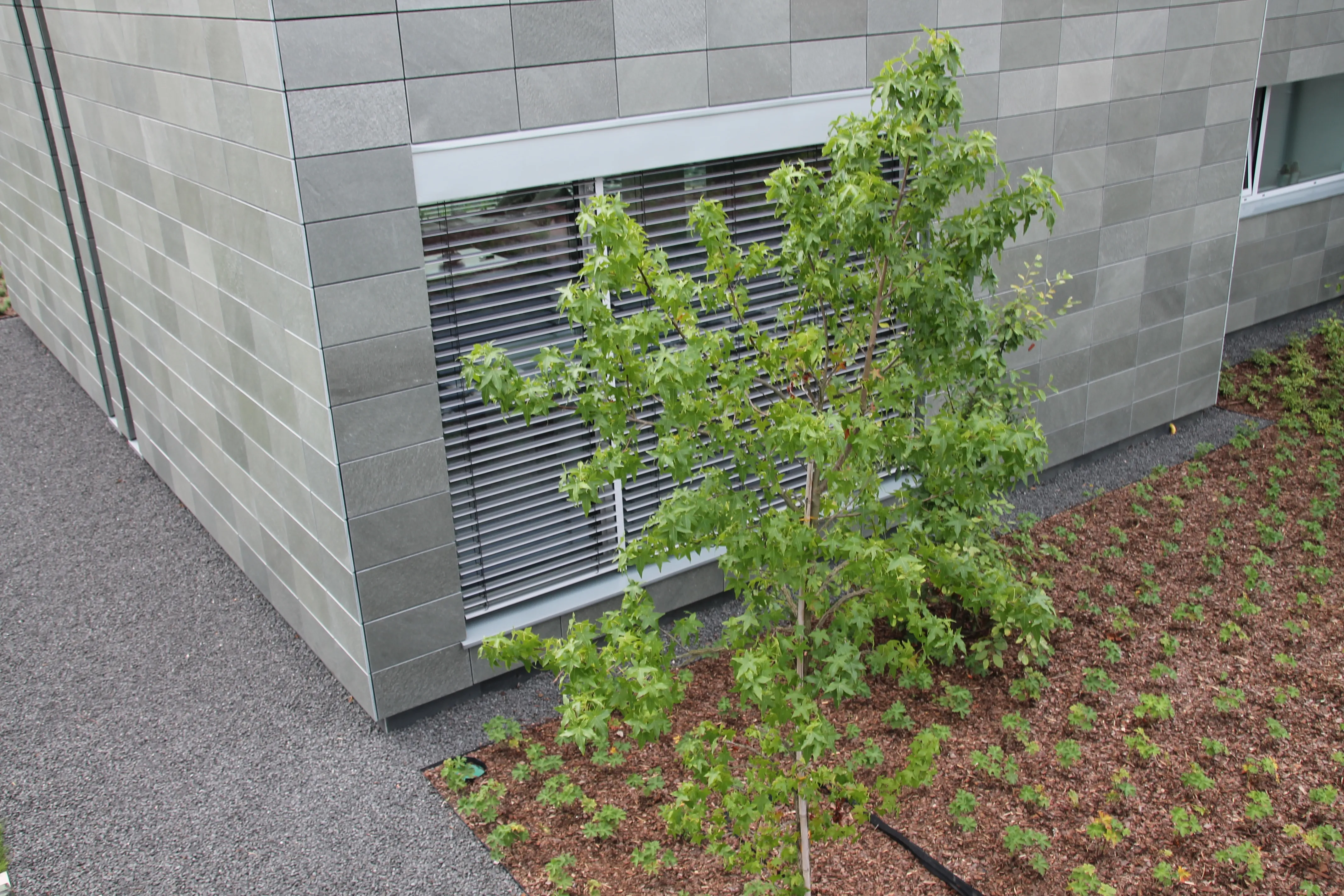 dach położony Łupkiem przez firmę Raf-dach